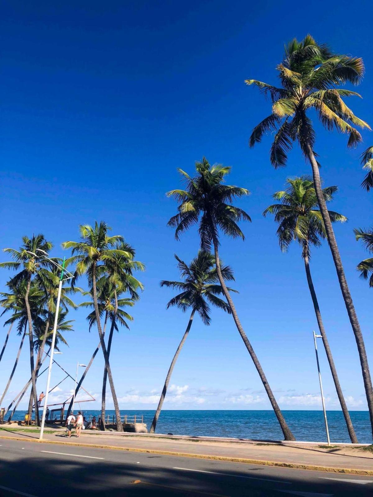Apartamento Ct-82: Apto Com Vista Espetacular O Mar *